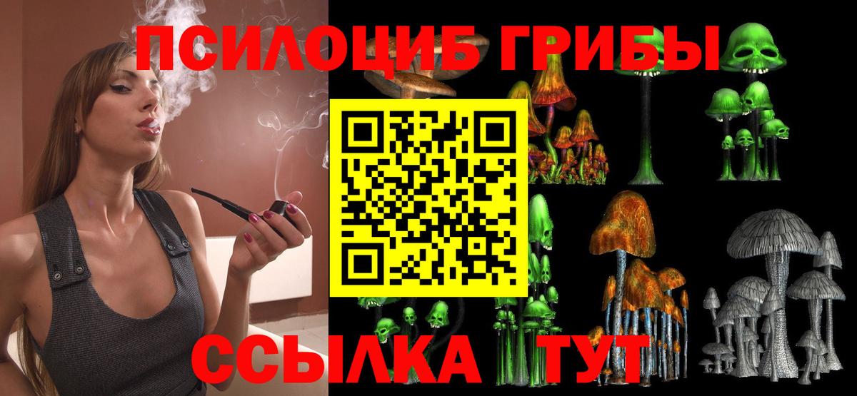 Мирный  Псилоцибиновые грибы Cubensis  Вход с VPN 