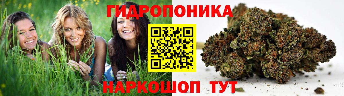 Каннабис Amnesia  Шишки марихуана индика  Шишки марихуана AK-47  Мирный  Вход с VPN 